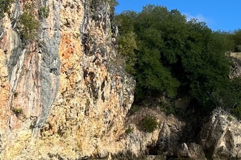 Review img # 23 of the yacht ASCENSION