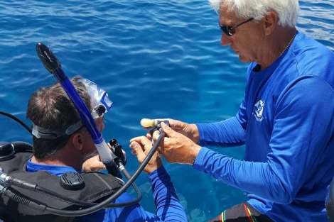 Review img # 43 of the yacht DEVINE SAILING