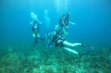 Review img # 44 of the yacht FOXY LADY