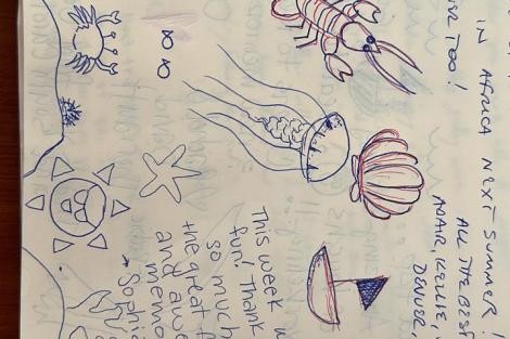 Review img # 10 of the yacht Groovy