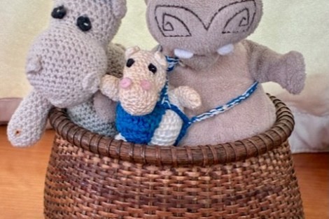 Review img # 1 of the yacht ISOLABLUE