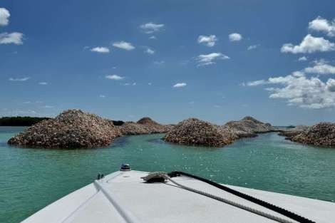 Review img # 16 of the yacht MARE BLU