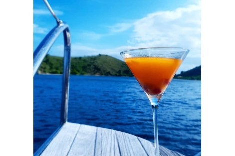 Review img # 72 of the yacht ODYSSEA