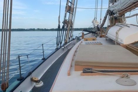 Review img # 2 of the yacht TREE OF LIFE