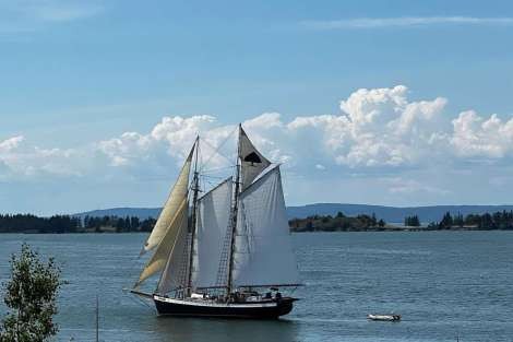 Review img # 8 of the yacht TREE OF LIFE